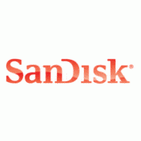9. SanDisk micro SD kartice